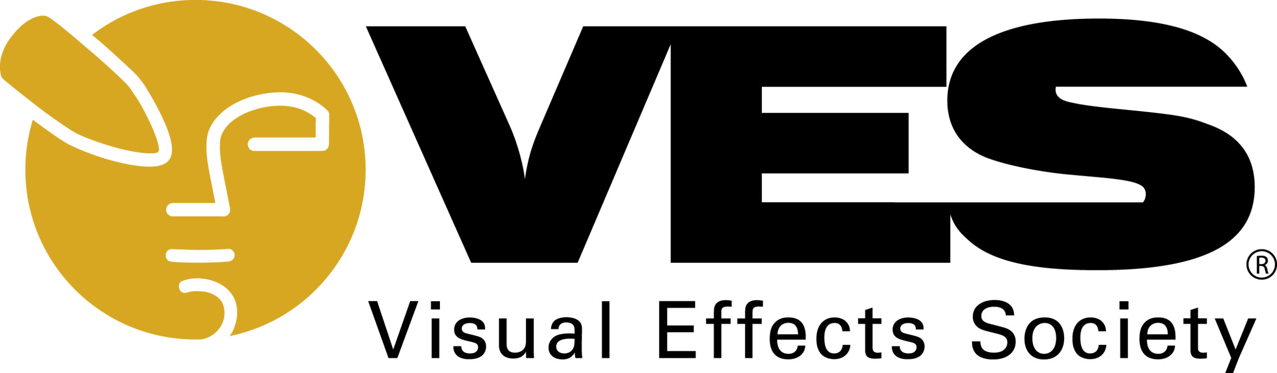 VES logo on white